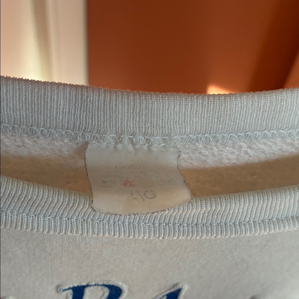Niagara Falls Graphic Sweatshirt - Picture 5 of 5